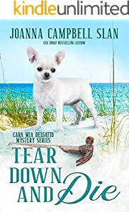 Tear Down and Die: Book #1 in the Cara Mia Delgatto Mystery Series